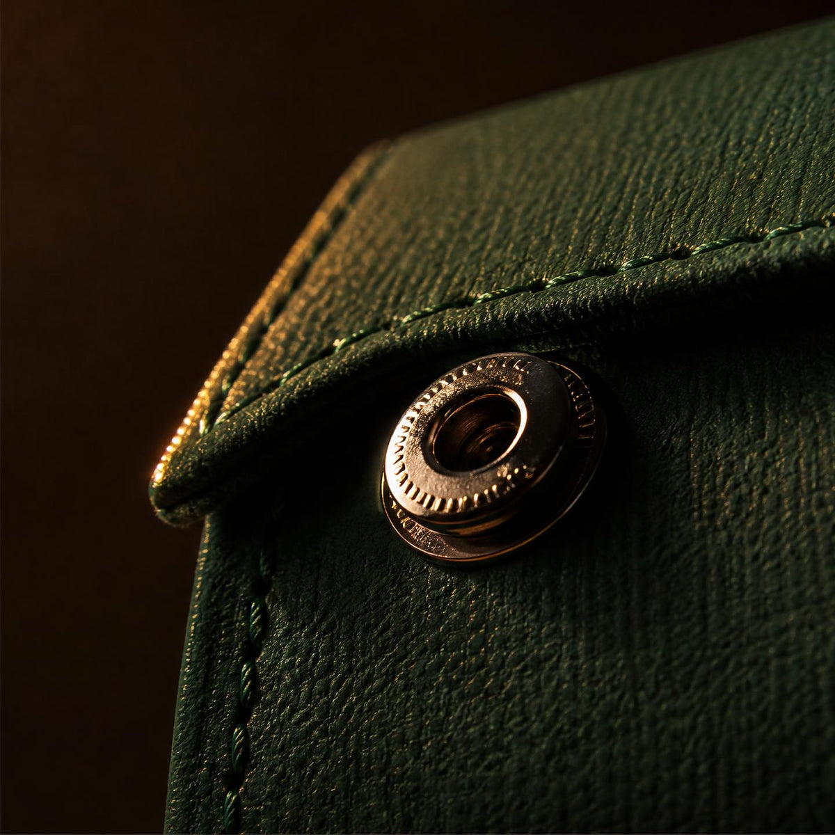 Étui de voyage cuir vert 8 montres - Forêt Impériale VIII - Maison Delcombe - vue 2 Image